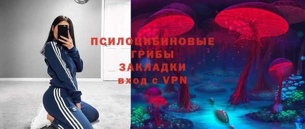 стафф Абдулино